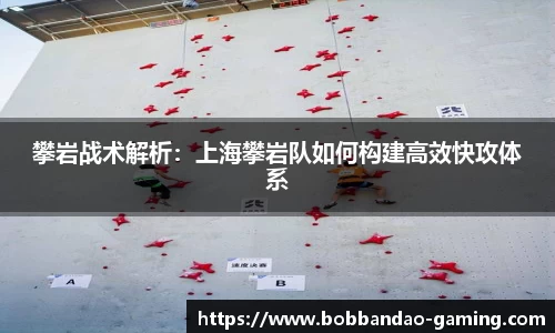 BOB半岛