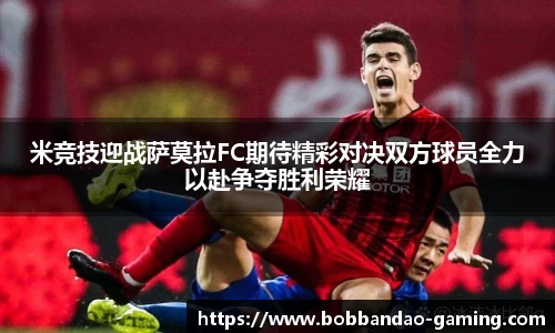 BOB半岛体育